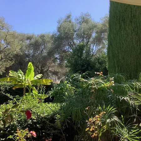 Appartement L'oranger D'azur