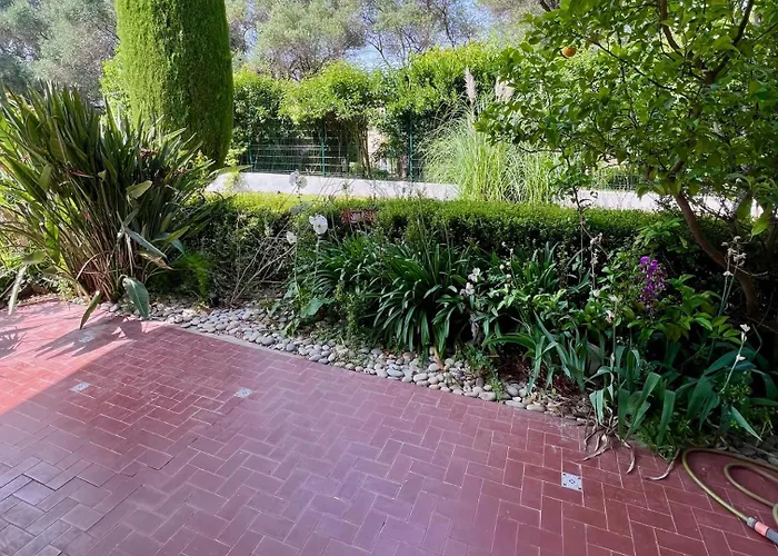 L'oranger D'azur * Juan-les-Pins